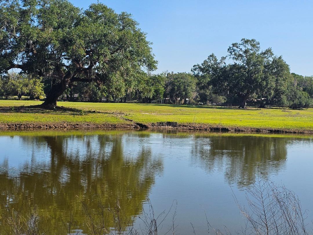 ARENA RD, DADE CITY, FL, 33523