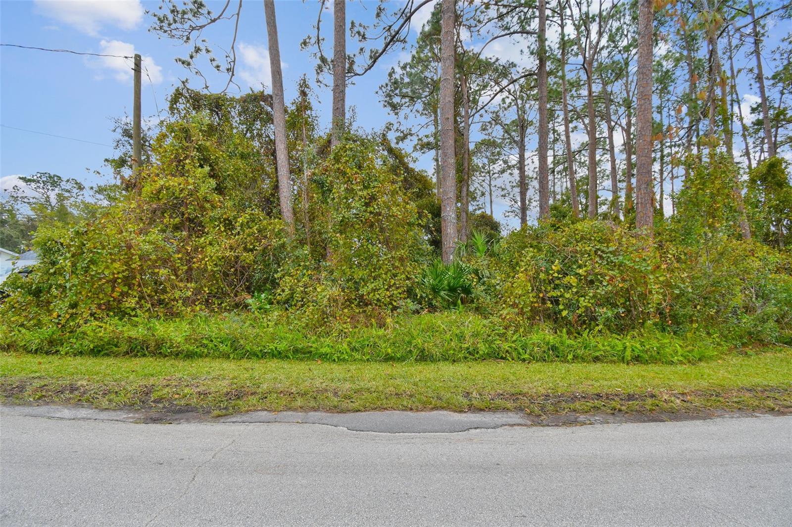 2417 E LAKE DR, DELAND, FL, 32724