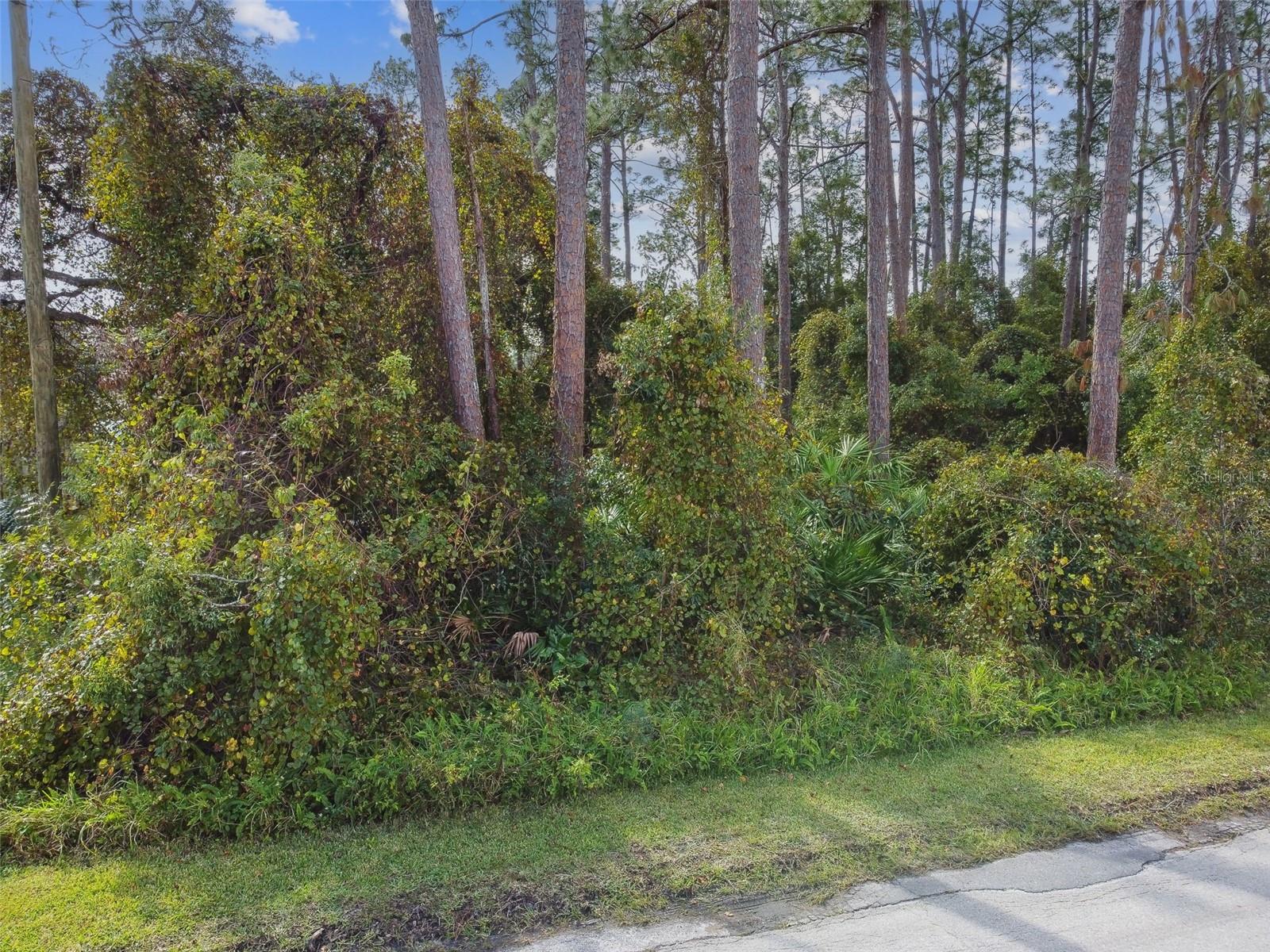 2417 E LAKE DR, DELAND, FL, 32724