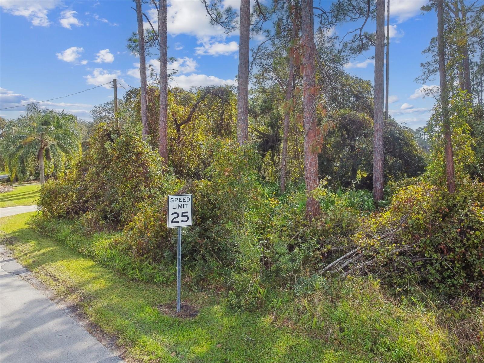 2417 E LAKE DR, DELAND, FL, 32724