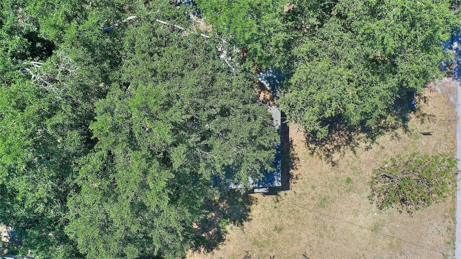 6925 3RD ST, MULBERRY, FL, 33860