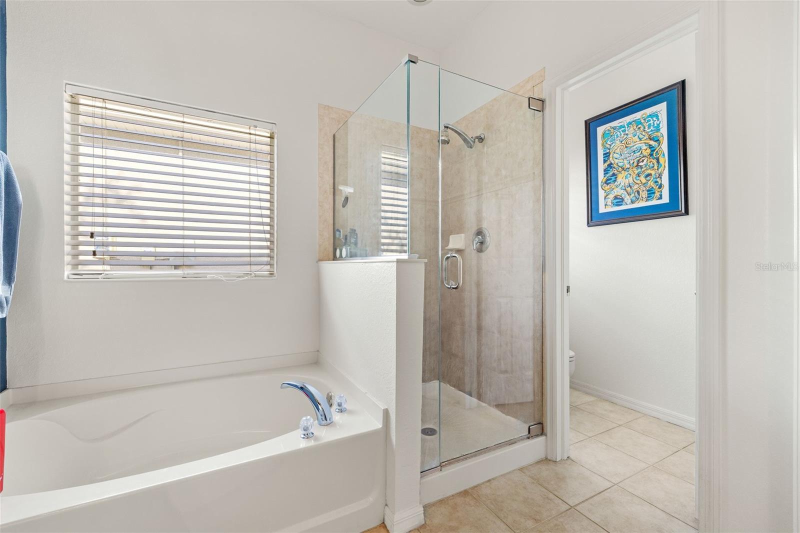 9723 GLADIOLUS BULB LOOP, FORT MYERS, FL, 33908