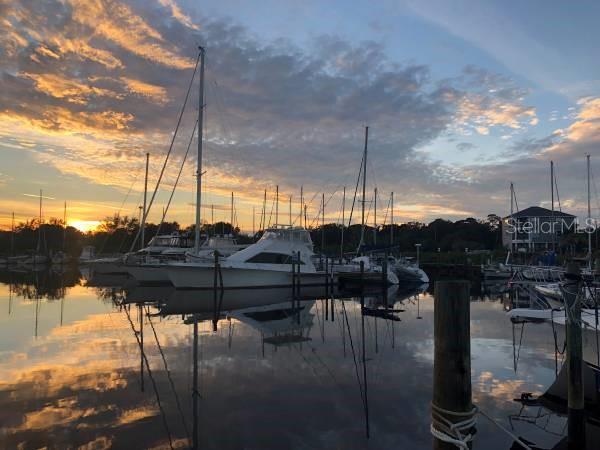 331 ANCLOTE RD #102, TARPON SPRINGS, FL, 34689