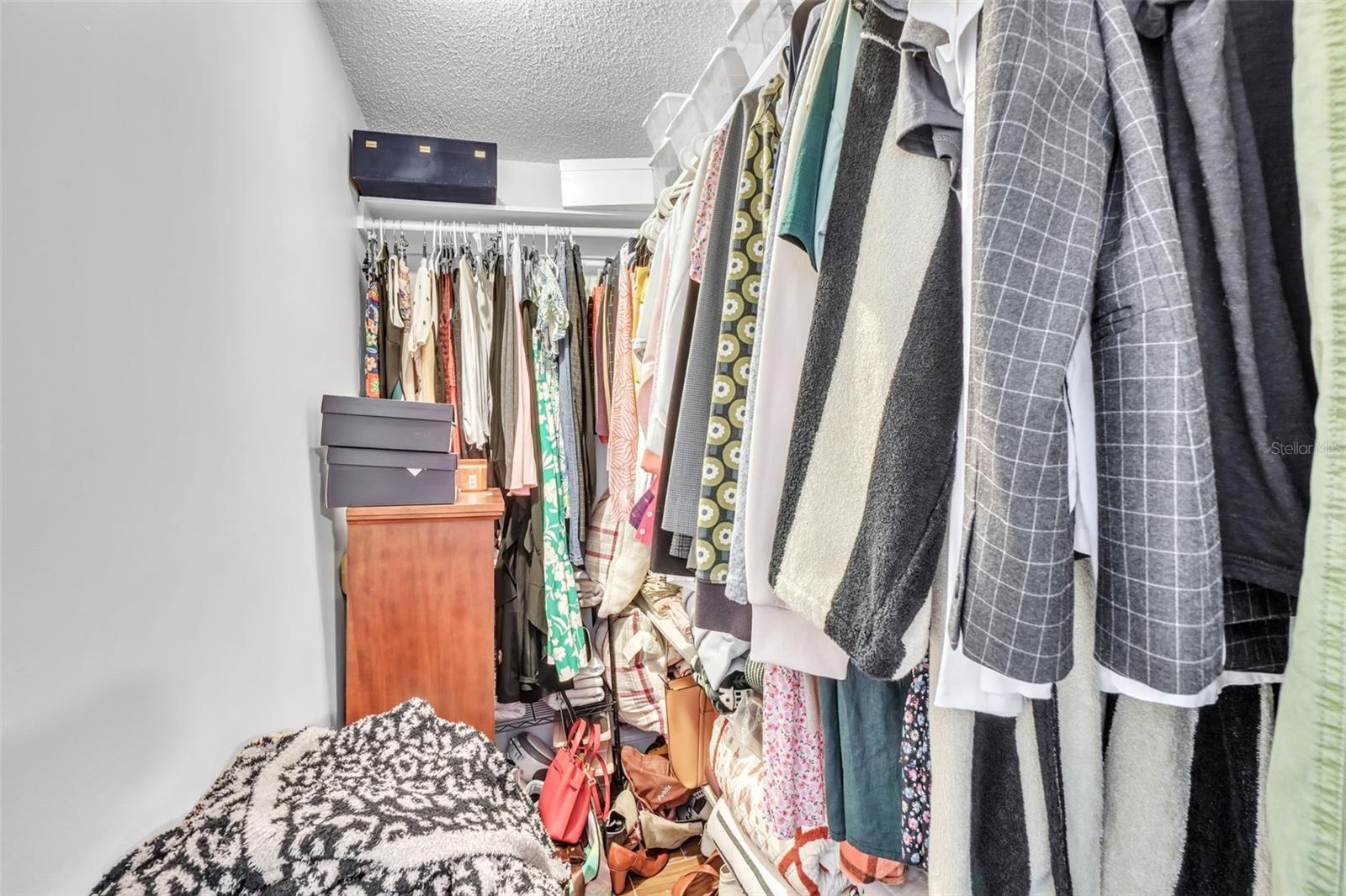 2329 OAK PARK WAY #204, ORLANDO, FL, 32822