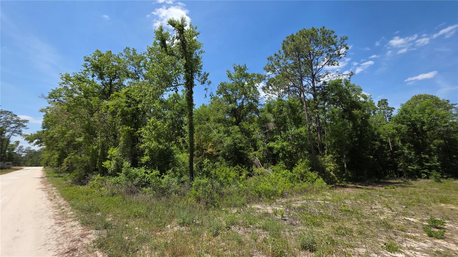 00 NE 67TH LN, BRONSON, FL, 32621