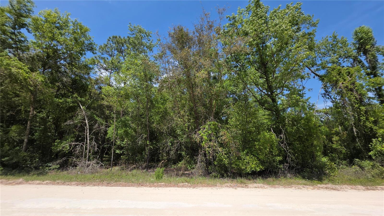 00 NE 67TH LN, BRONSON, FL, 32621