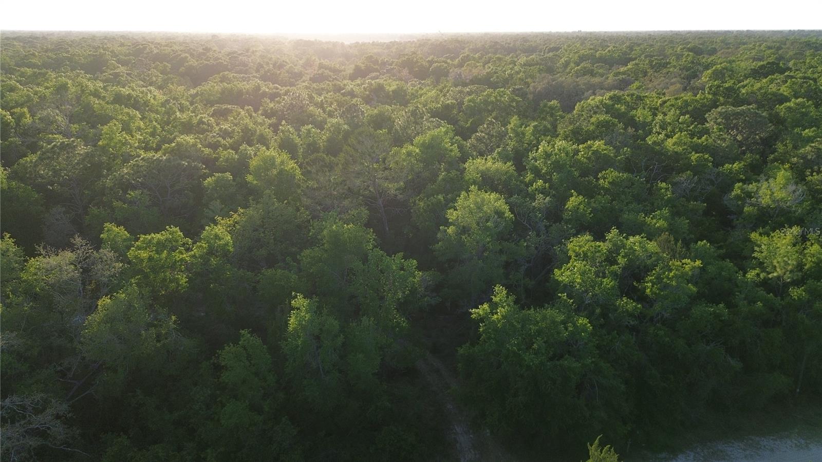 HAVENWOODS RD, SPRING HILL, FL, 34610