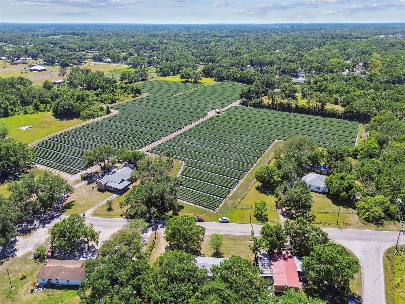 4304 CORONET RD, PLANT CITY, FL, 33566