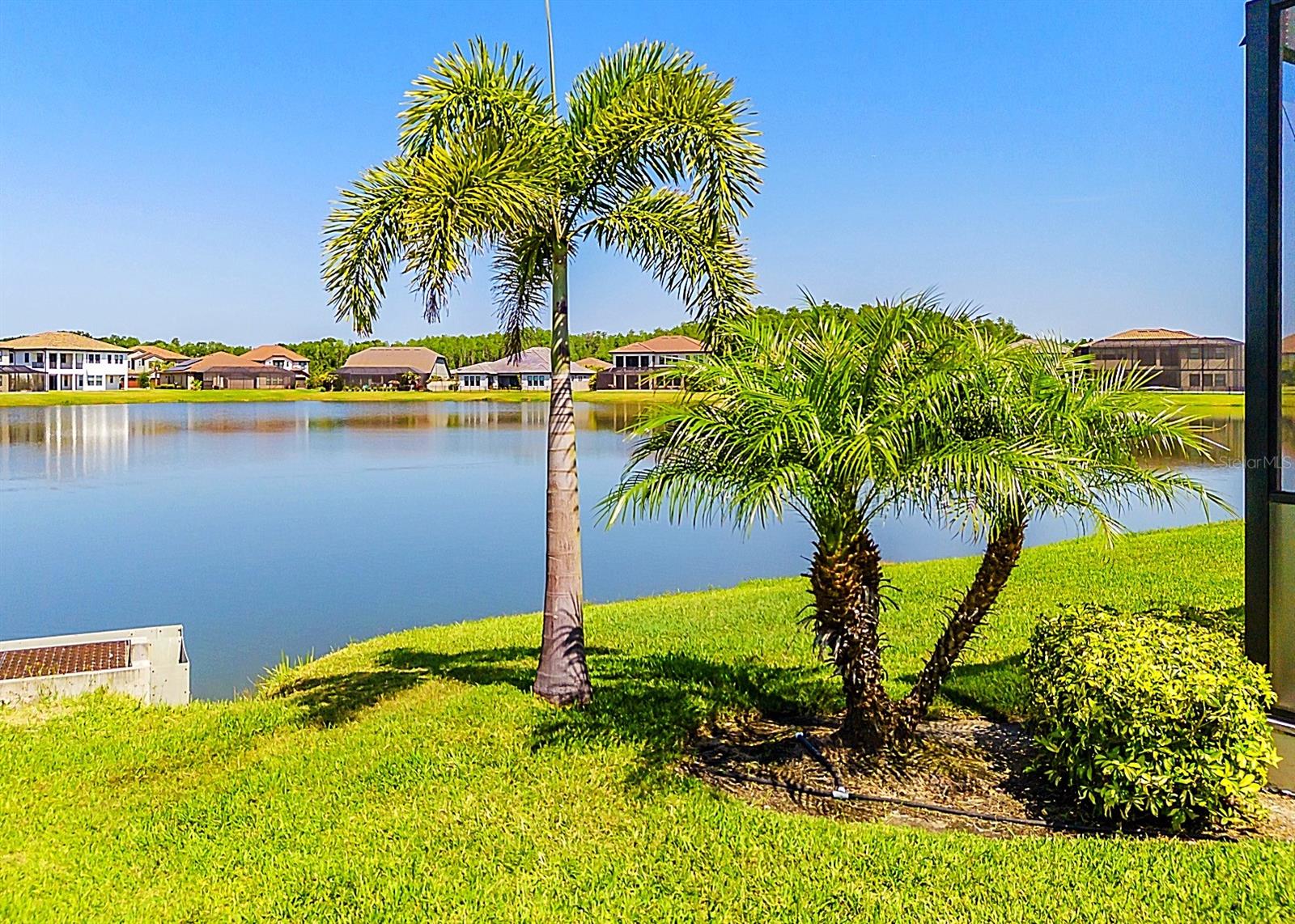 28857 PICANA LN, WESLEY CHAPEL, FL, 33543
