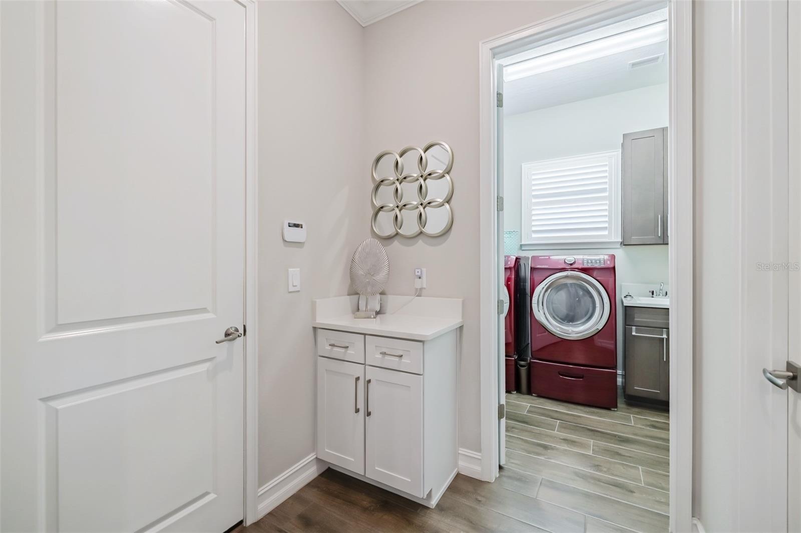 28857 PICANA LN, WESLEY CHAPEL, FL, 33543