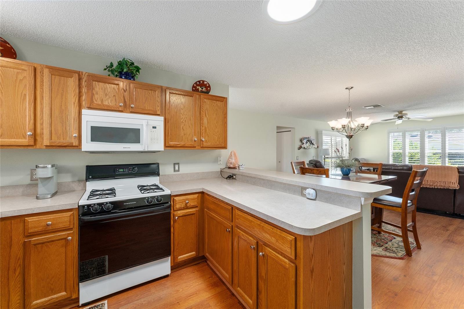 17385 SE 76TH CHAMPION AVE, THE VILLAGES, FL, 32162