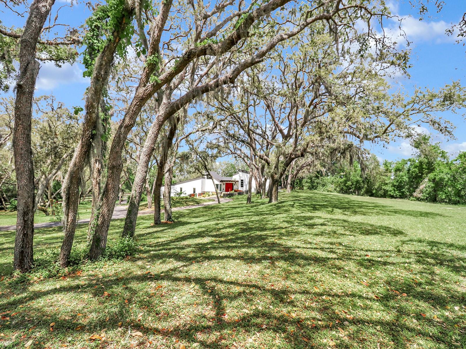 2947 CEDAR TRCE, TARPON SPRINGS, FL, 34688