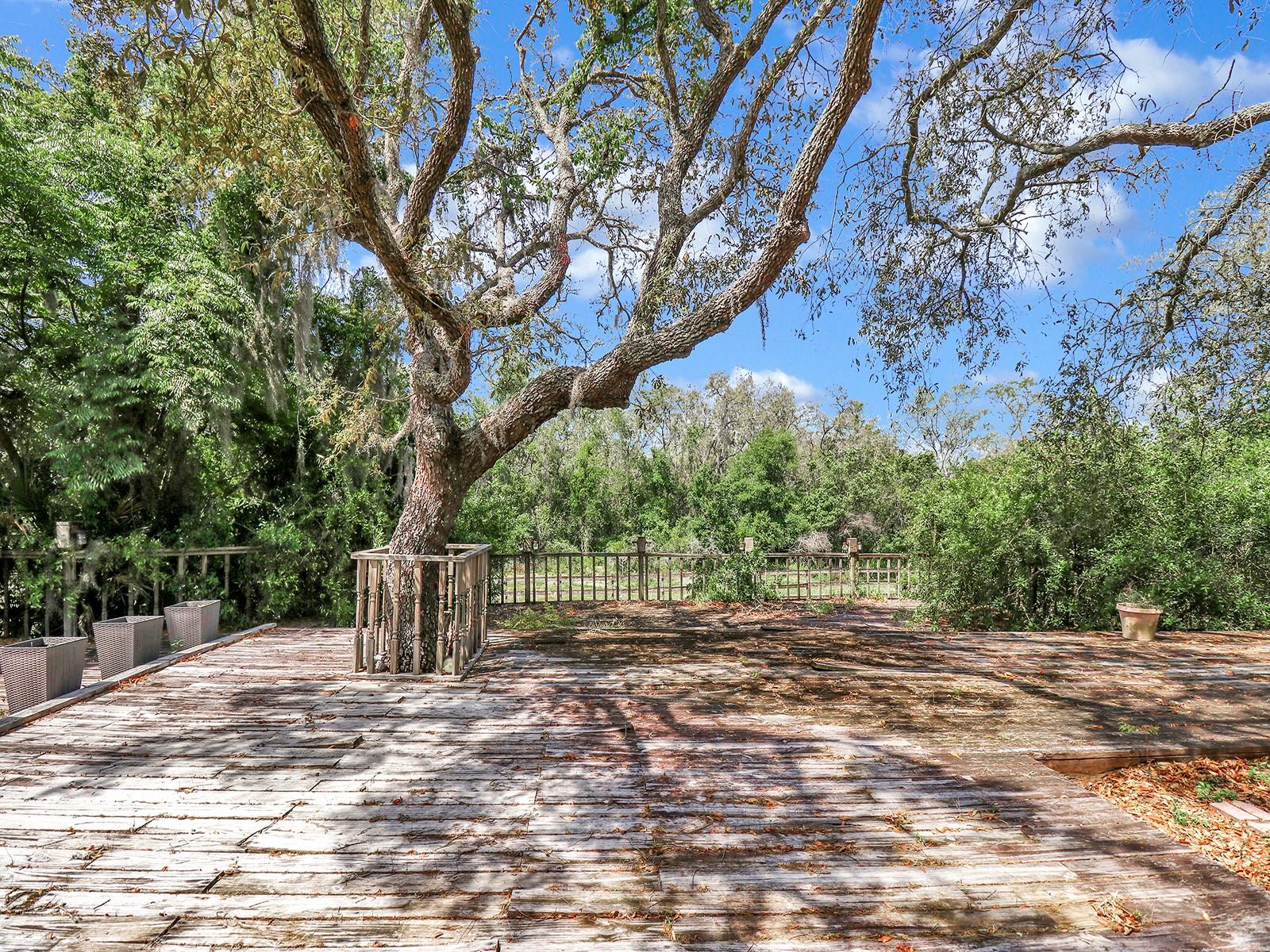 2947 CEDAR TRCE, TARPON SPRINGS, FL, 34688