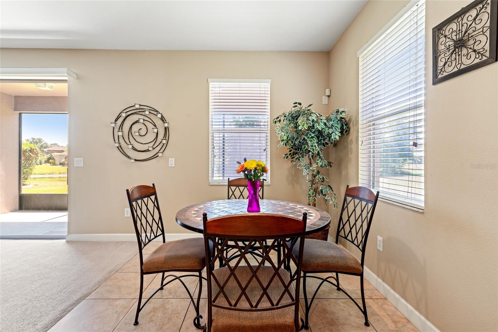 10617 LUCAYA DR, TAMPA, FL, 33647