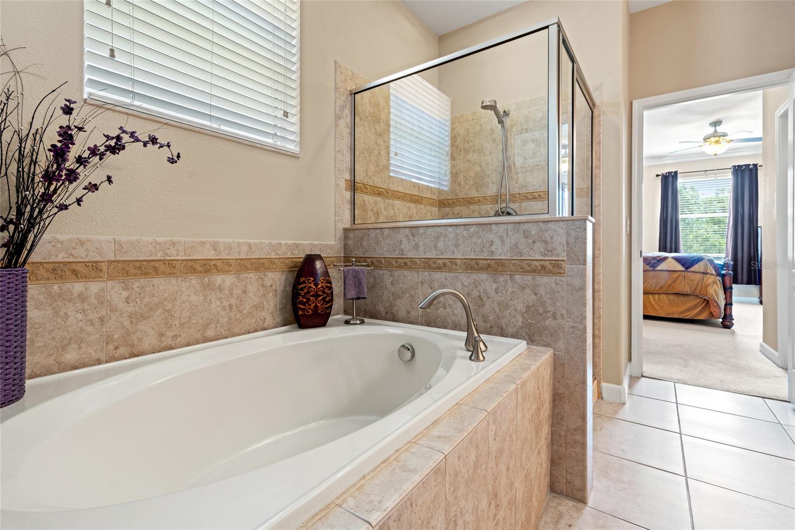 10617 LUCAYA DR, TAMPA, FL, 33647