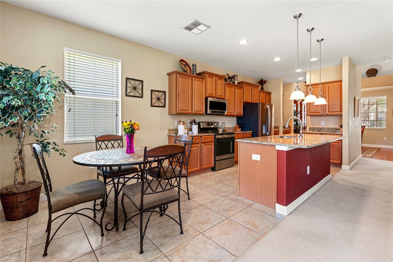 10617 LUCAYA DR, TAMPA, FL, 33647