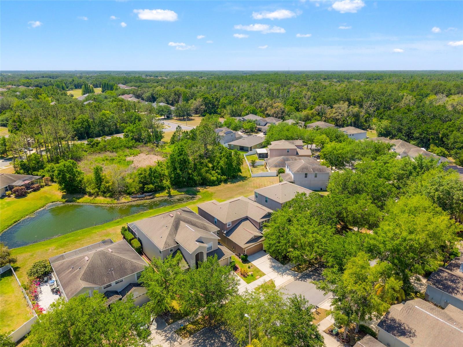 10617 LUCAYA DR, TAMPA, FL, 33647