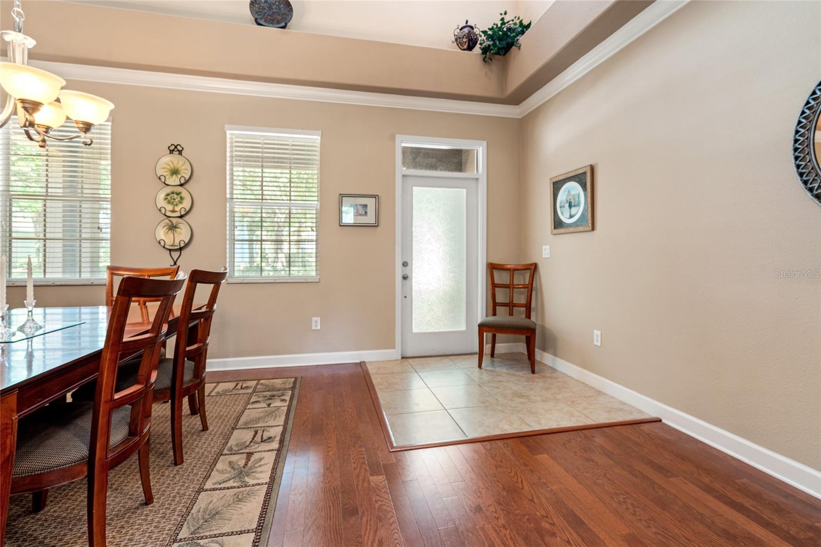 10617 LUCAYA DR, TAMPA, FL, 33647