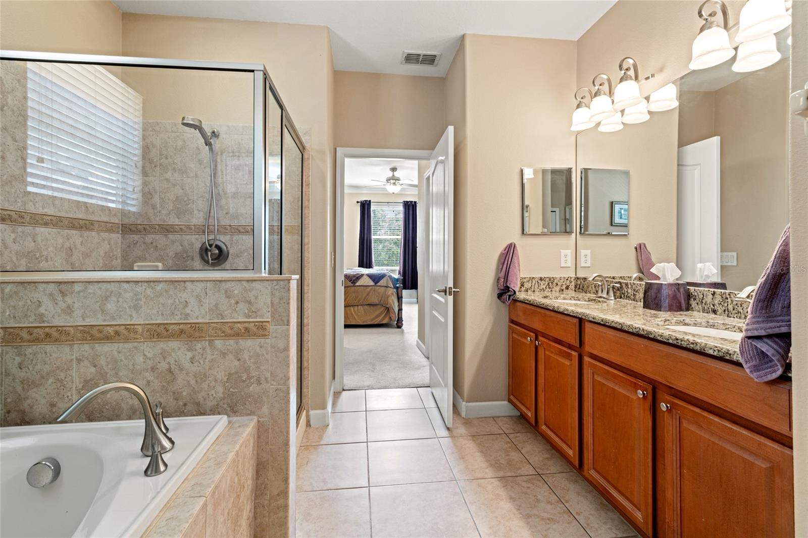 10617 LUCAYA DR, TAMPA, FL, 33647