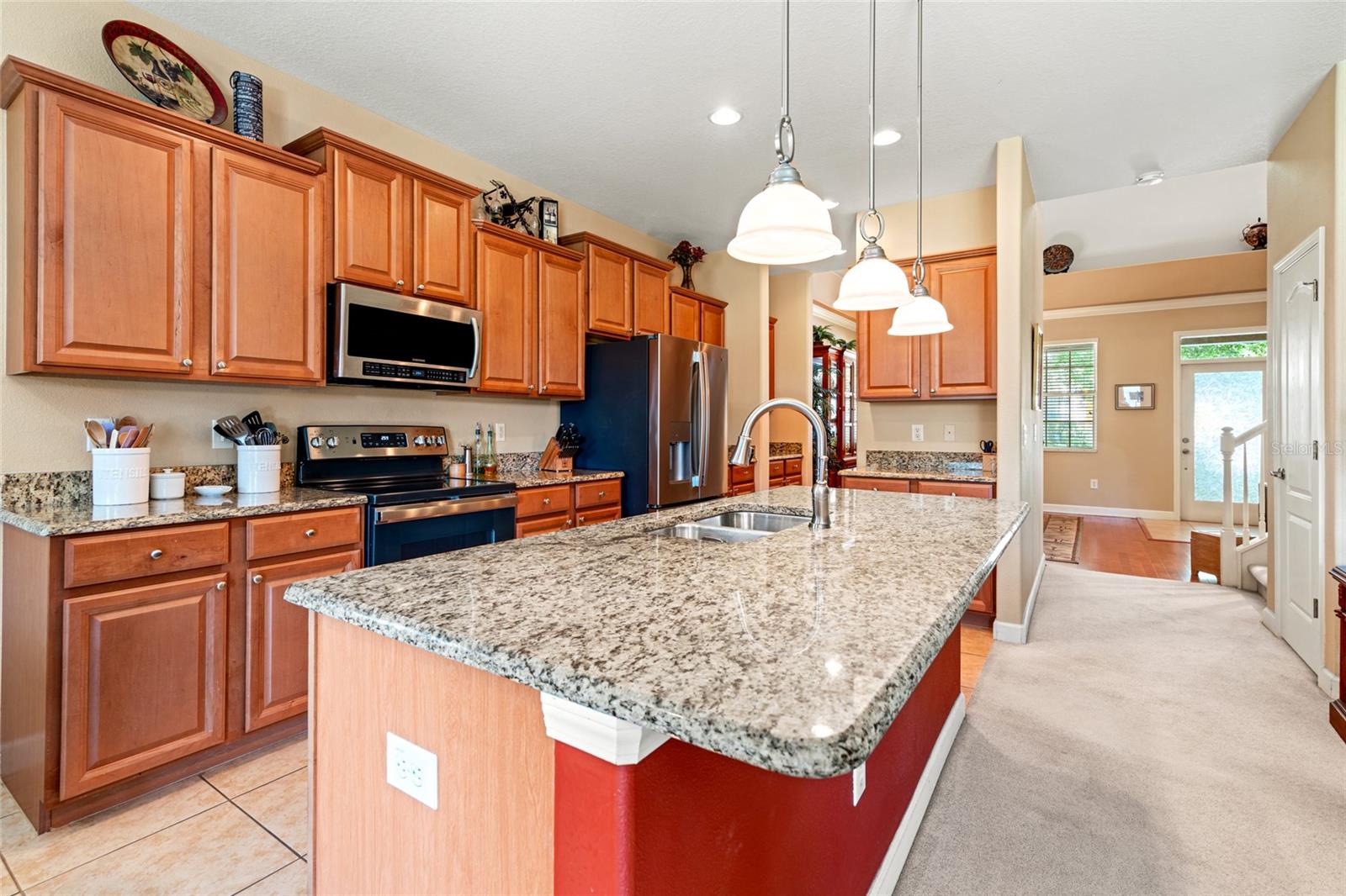 10617 LUCAYA DR, TAMPA, FL, 33647