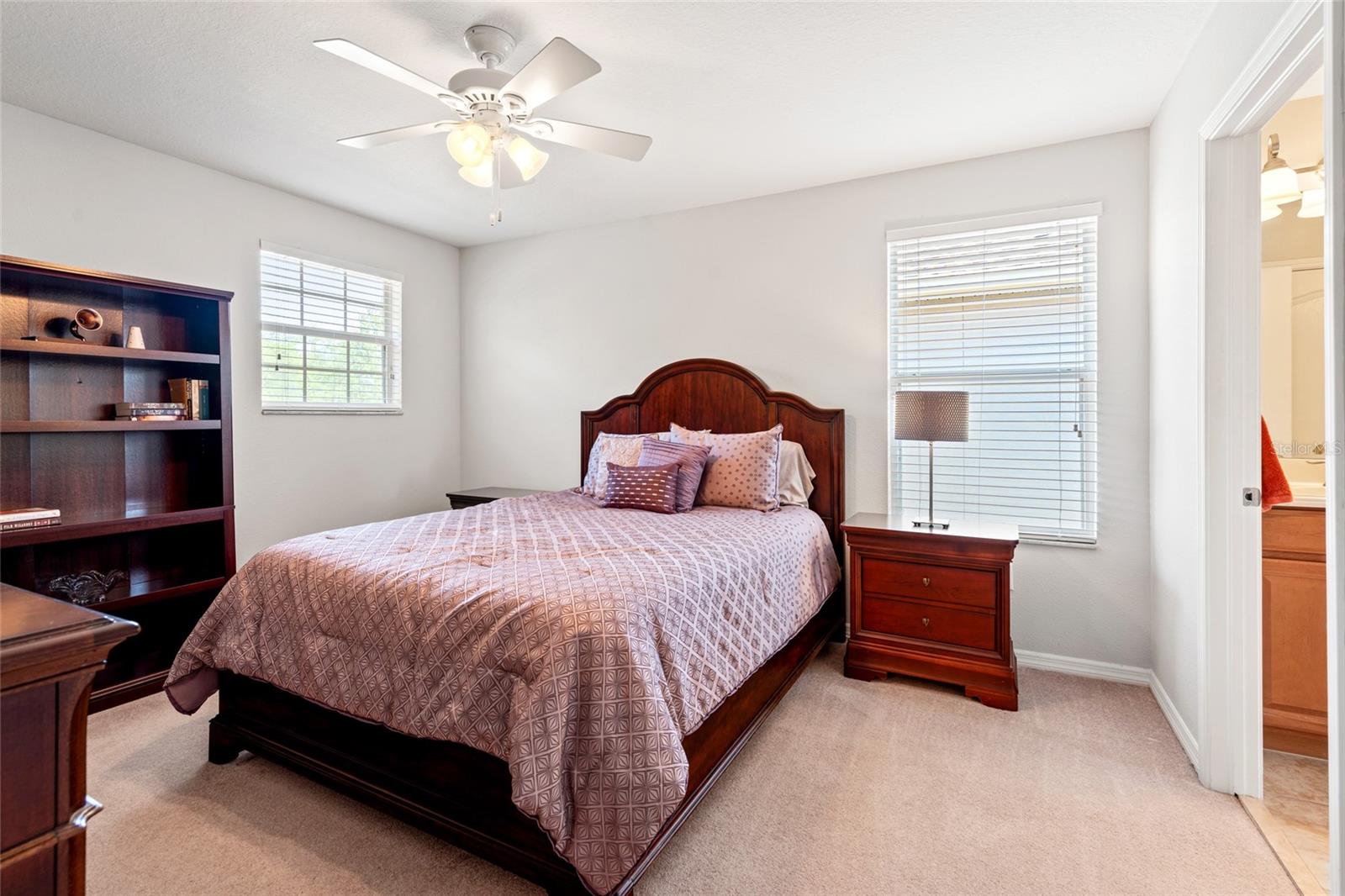 10617 LUCAYA DR, TAMPA, FL, 33647