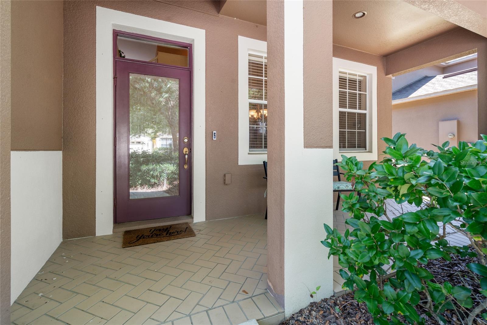 10617 LUCAYA DR, TAMPA, FL, 33647