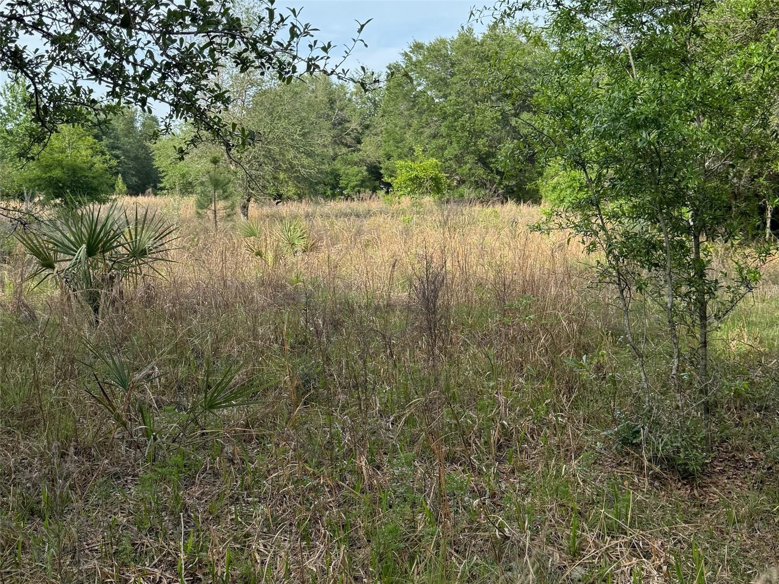 TBD NW 27TH PL, CHIEFLAND, FL, 32626