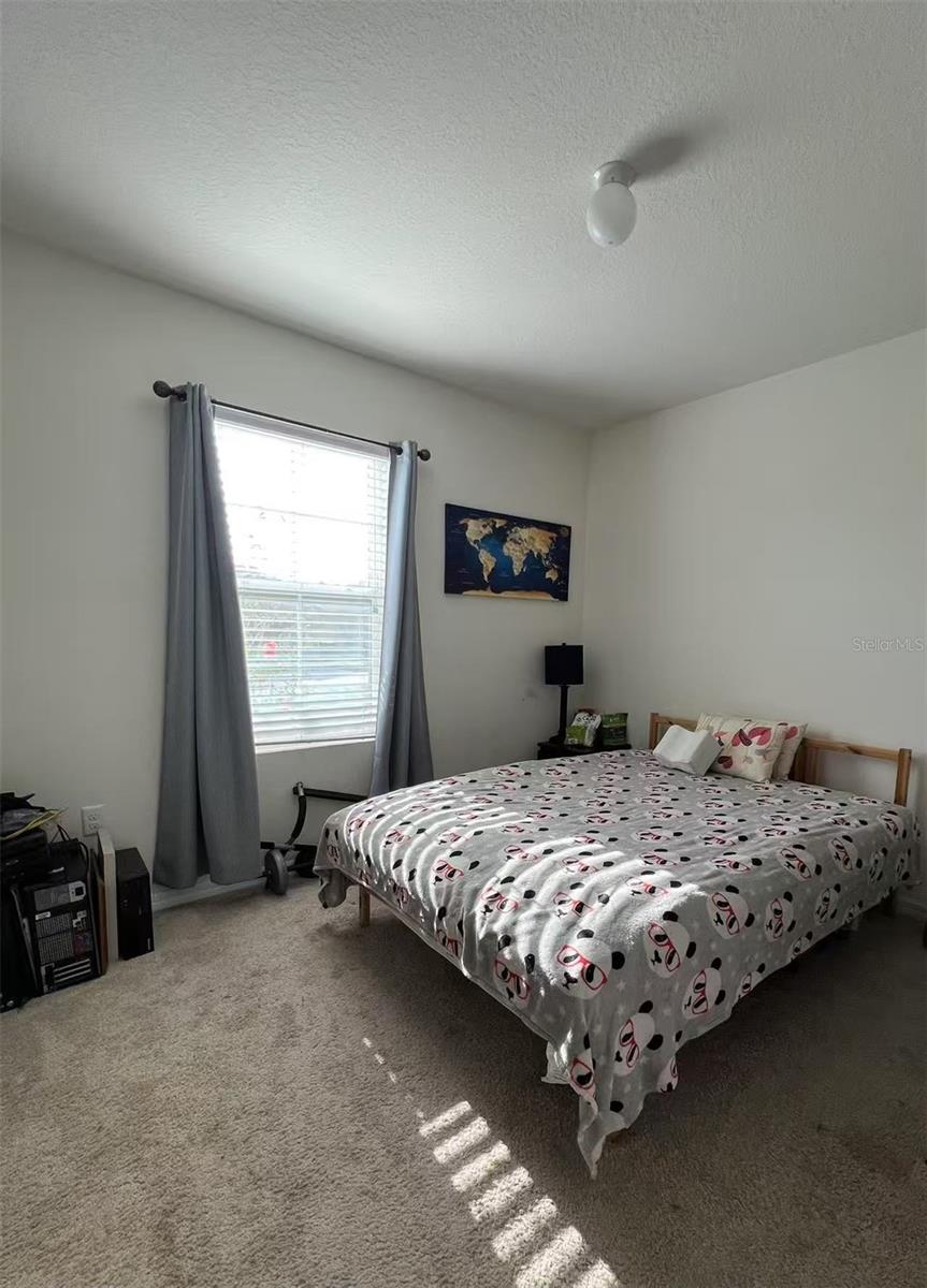 9832 WARM STONE ST, THONOTOSASSA, FL, 33592