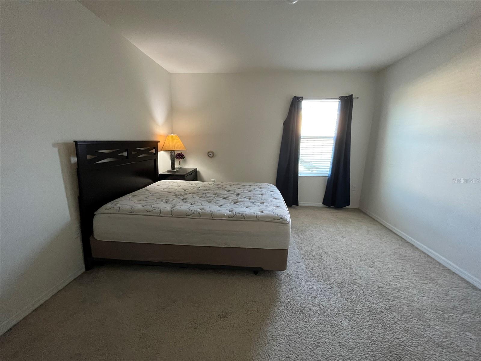 9832 WARM STONE ST, THONOTOSASSA, FL, 33592