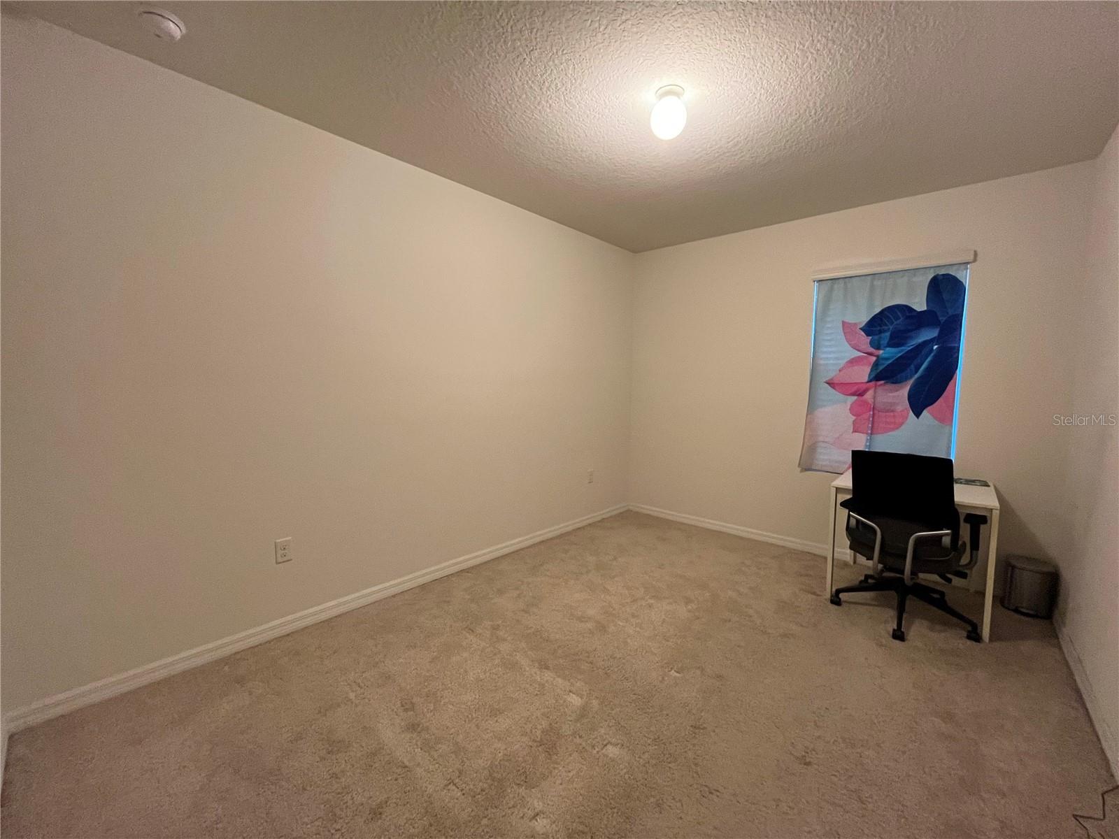 9832 WARM STONE ST, THONOTOSASSA, FL, 33592