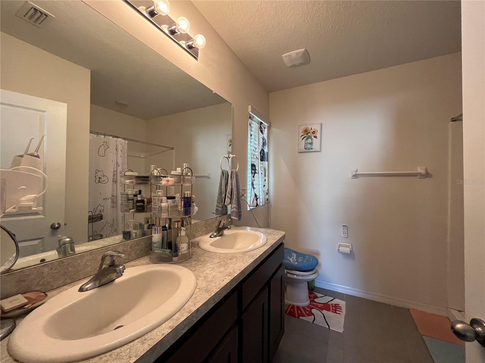 9832 WARM STONE ST, THONOTOSASSA, FL, 33592