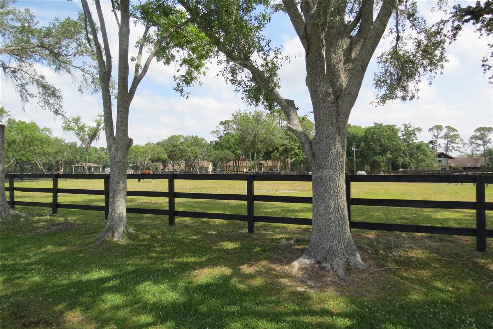 11521 INNFIELDS DR, ODESSA, FL, 33556