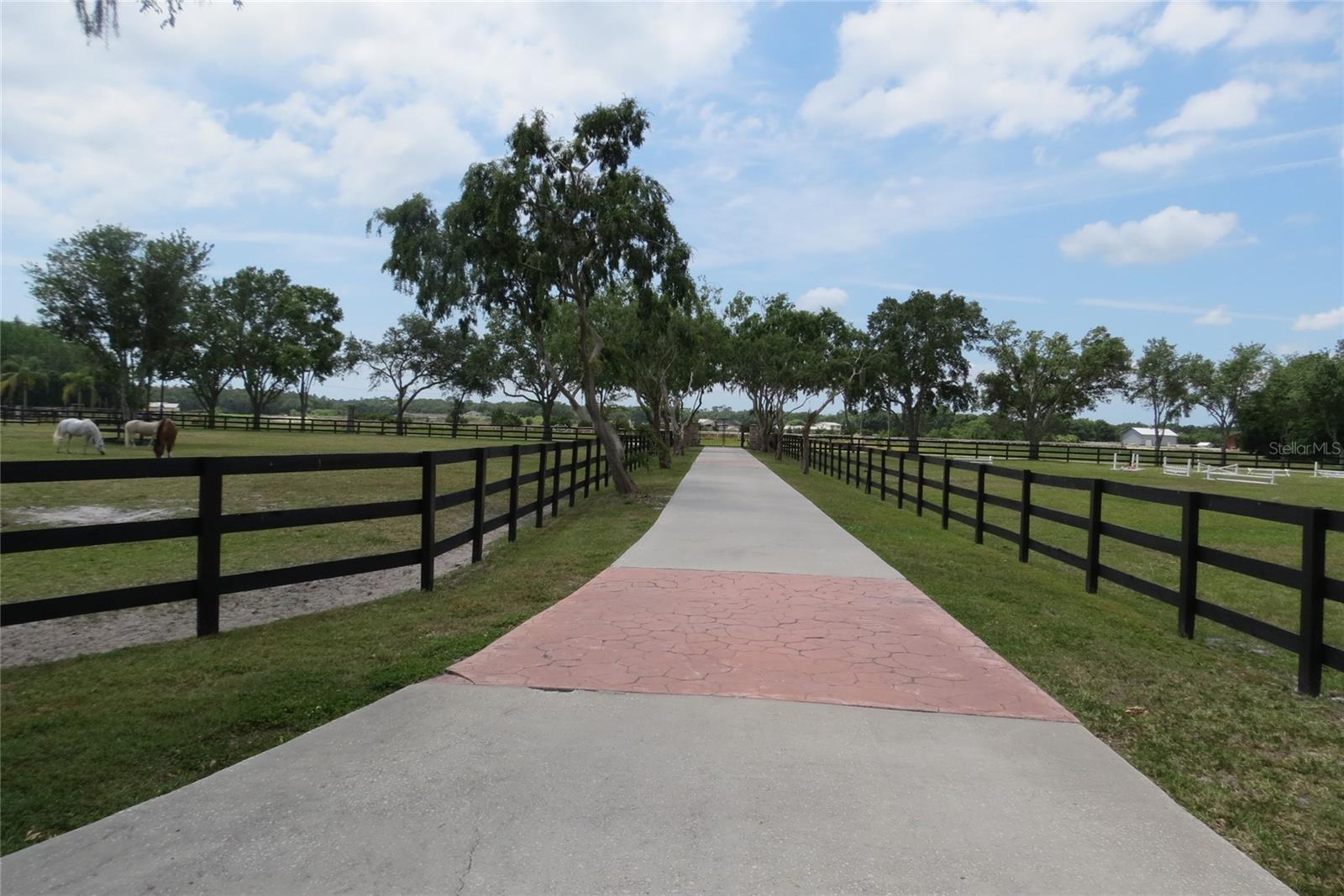 11521 INNFIELDS DR, ODESSA, FL, 33556