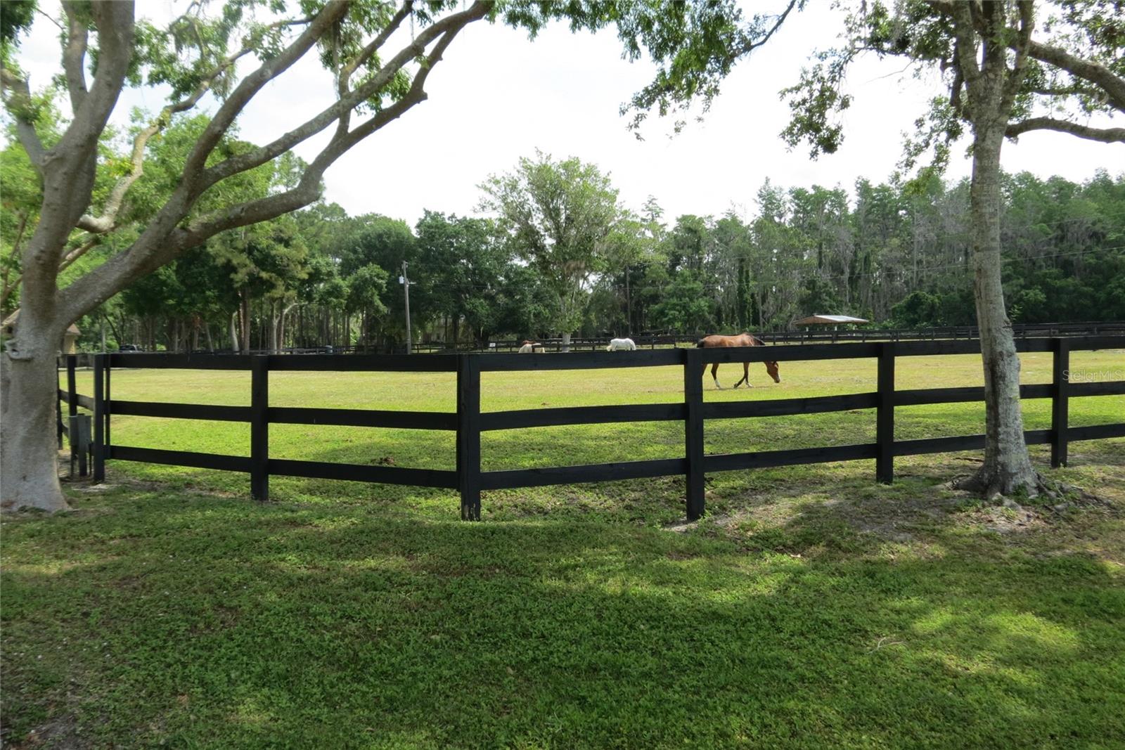 11521 INNFIELDS DR, ODESSA, FL, 33556