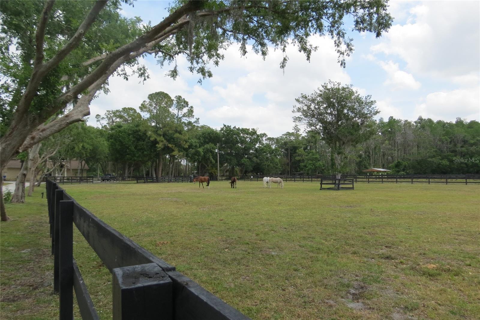 11521 INNFIELDS DR, ODESSA, FL, 33556