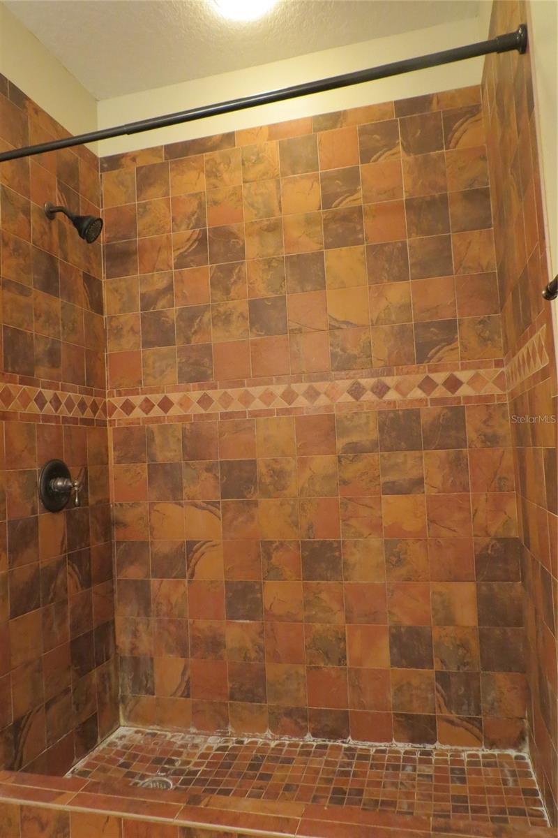 11521 INNFIELDS DR, ODESSA, FL, 33556