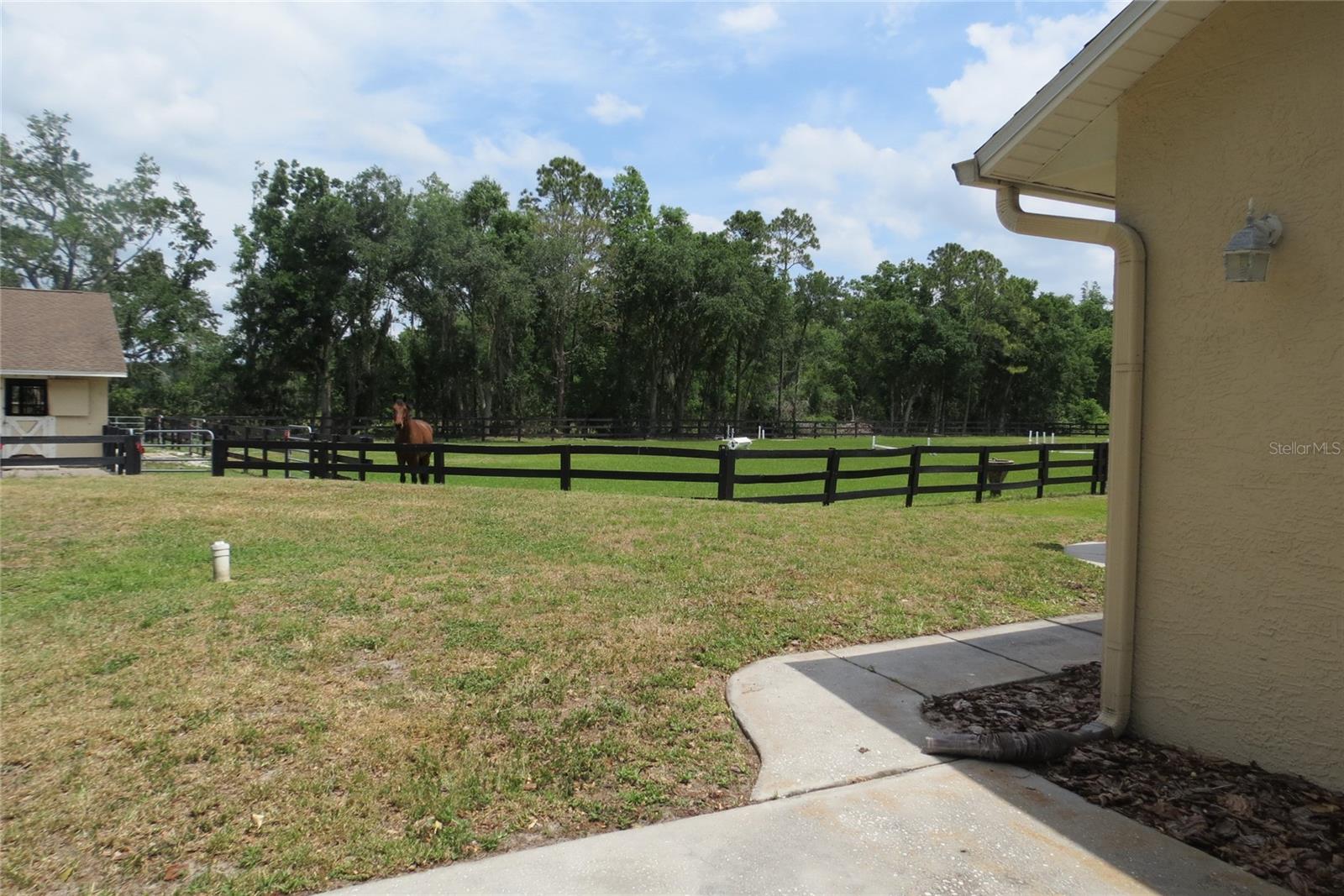 11521 INNFIELDS DR, ODESSA, FL, 33556