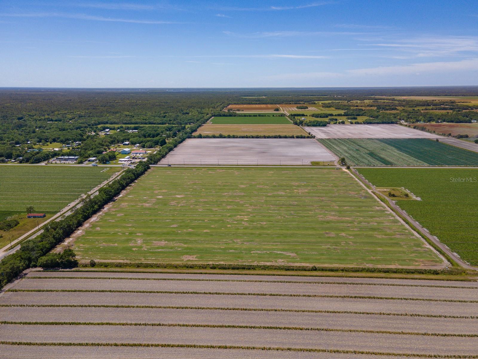 CR 302 & 305, BUNNELL, FL, 32110