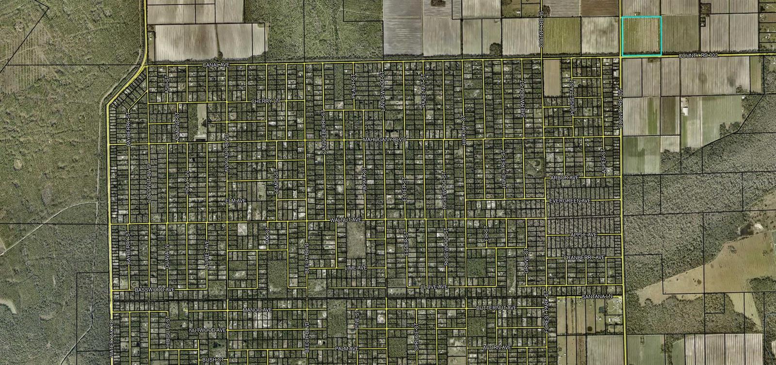 CR 302 & 305, BUNNELL, FL, 32110