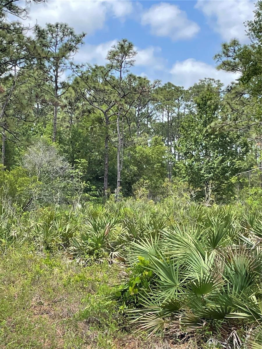 00 SOMERSET ST, ORLANDO, FL, 32833