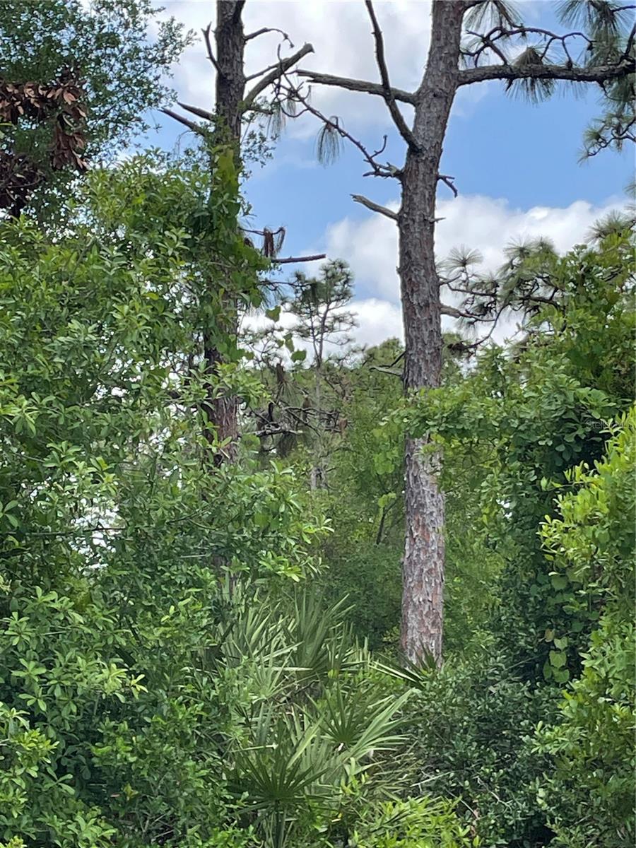 00 SOMERSET ST, ORLANDO, FL, 32833