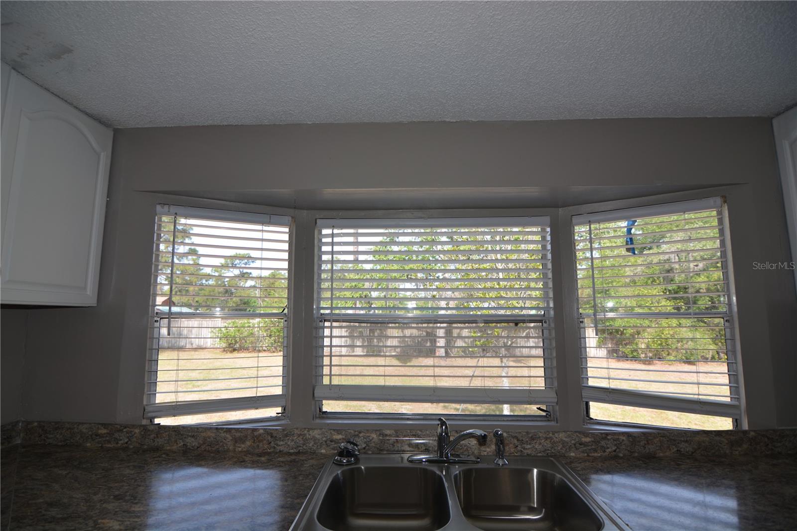 17524 MEDLEY AVE, SPRING HILL, FL, 34610