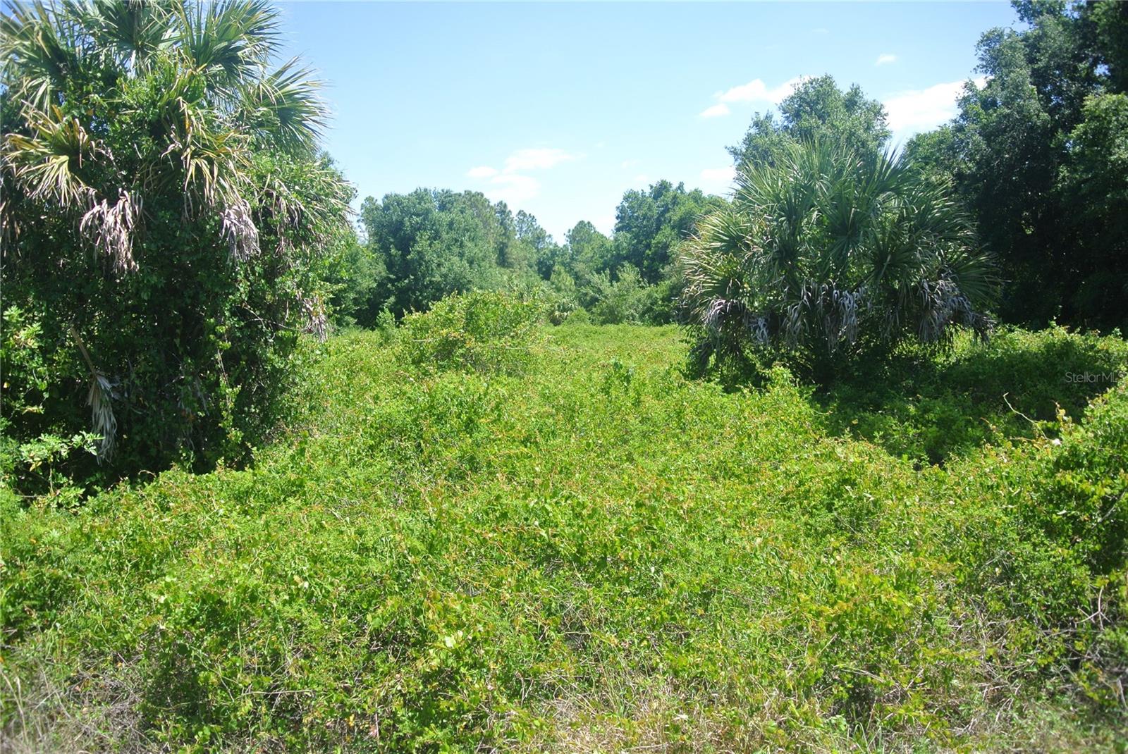 IRONSIDE ST, NORTH PORT, FL, 34288