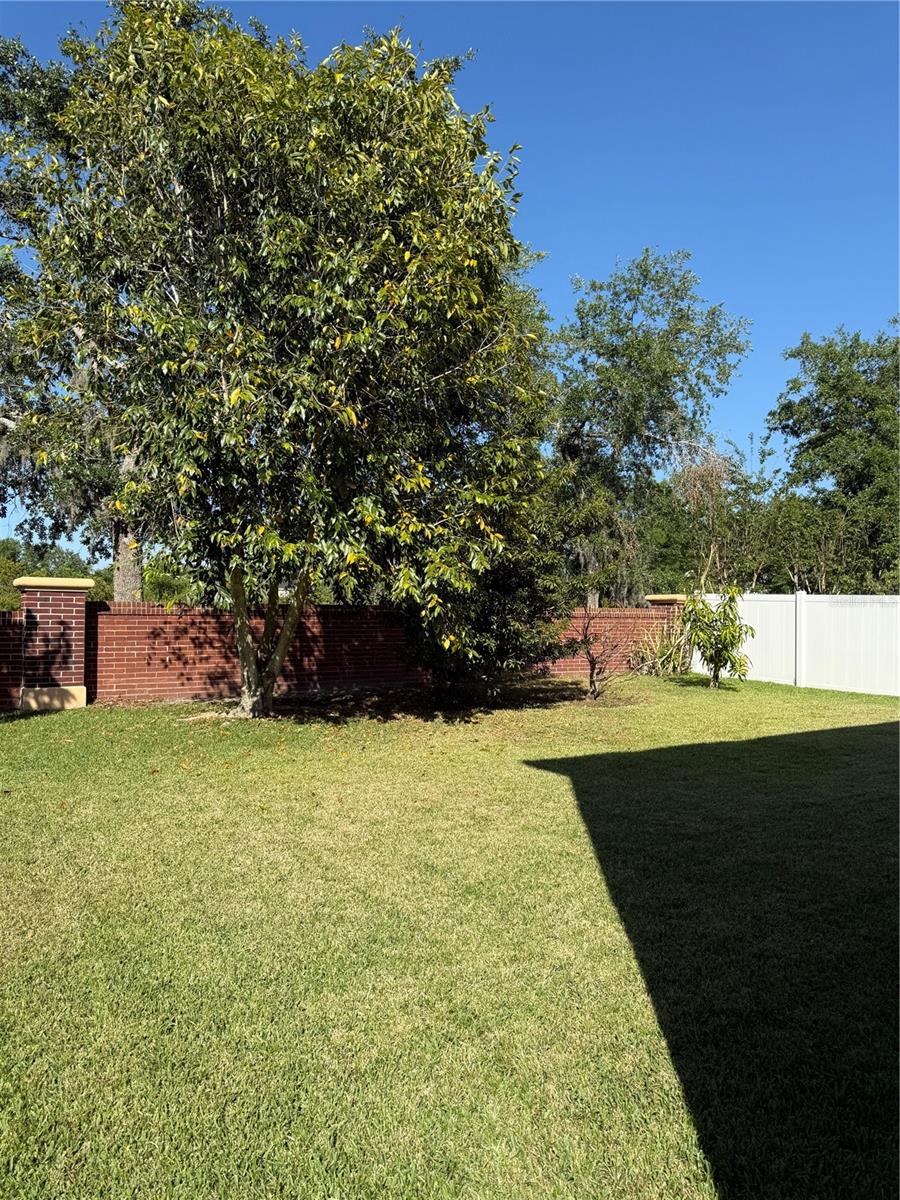 32111 BROOKSTONE DR, WESLEY CHAPEL, FL, 33545