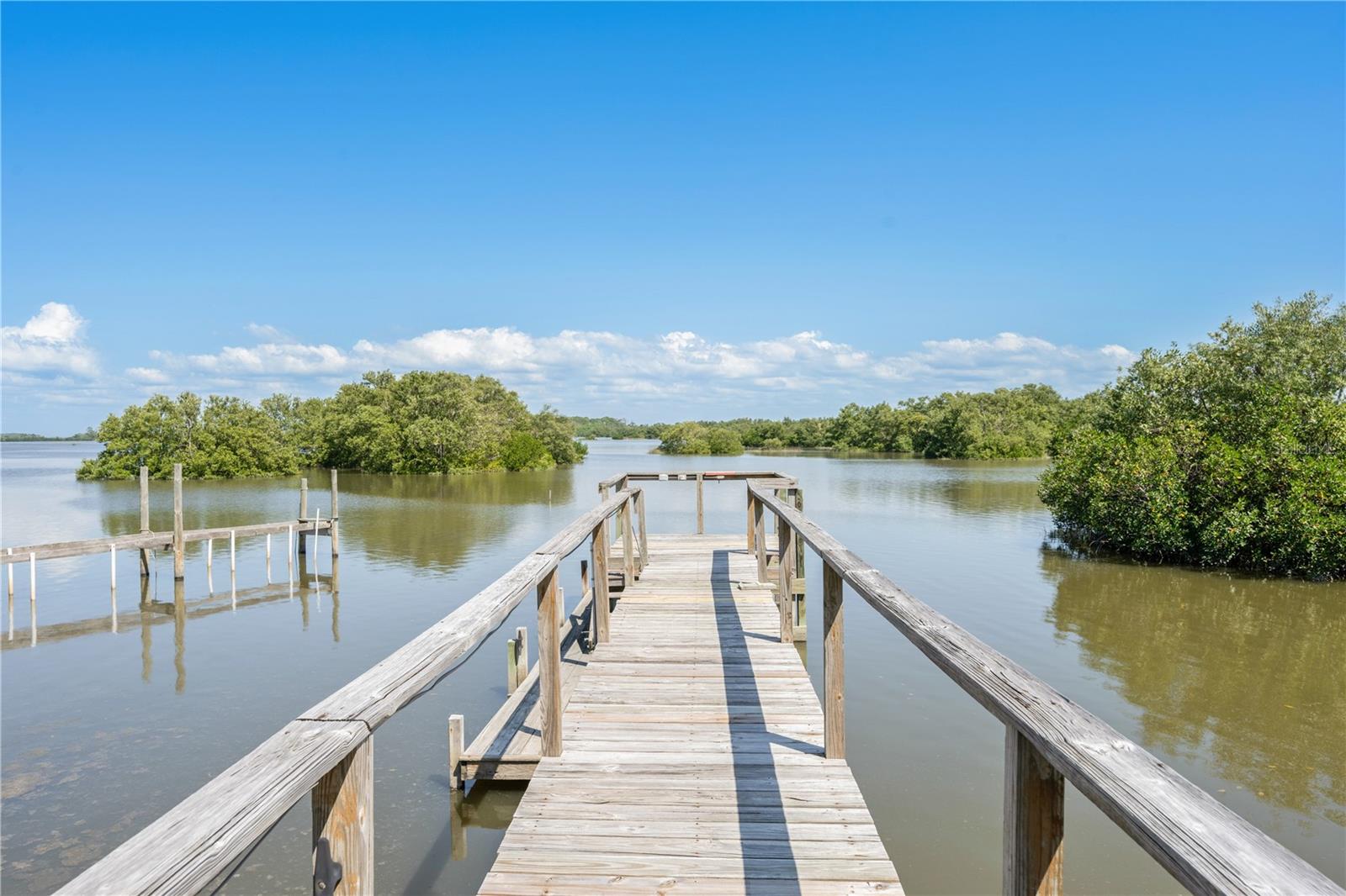 12410 CEDAR ST, CEDAR KEY, FL, 32625