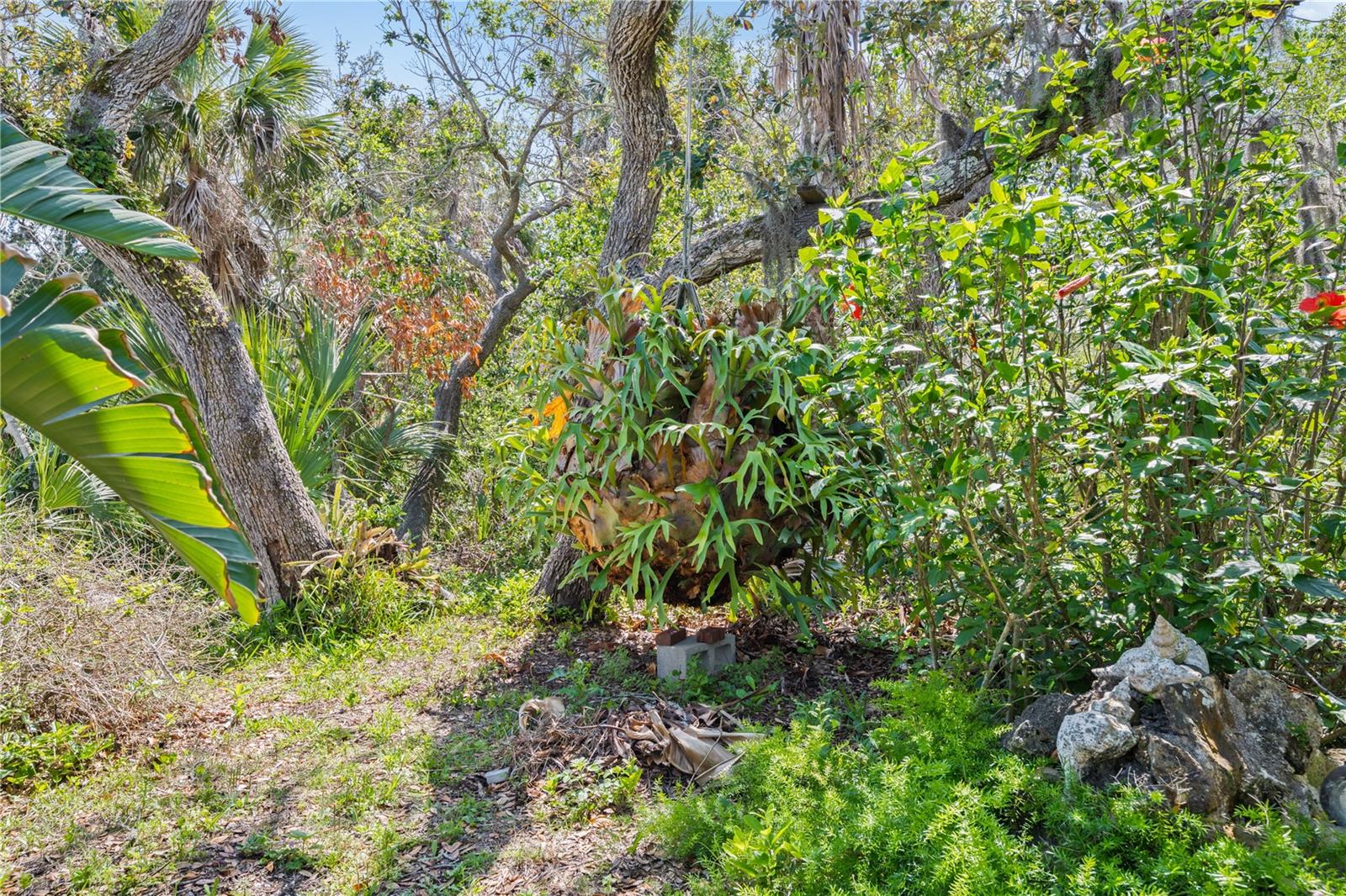 12410 CEDAR ST, CEDAR KEY, FL, 32625