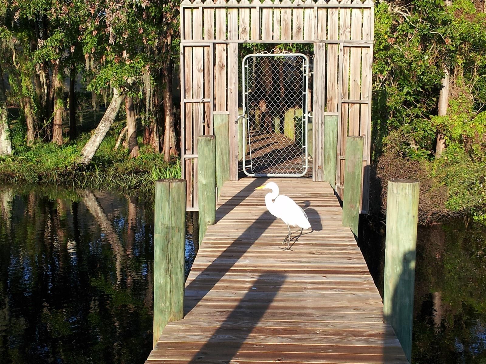 5400 LA MOYA AVE #2, JACKSONVILLE, FL, 32210