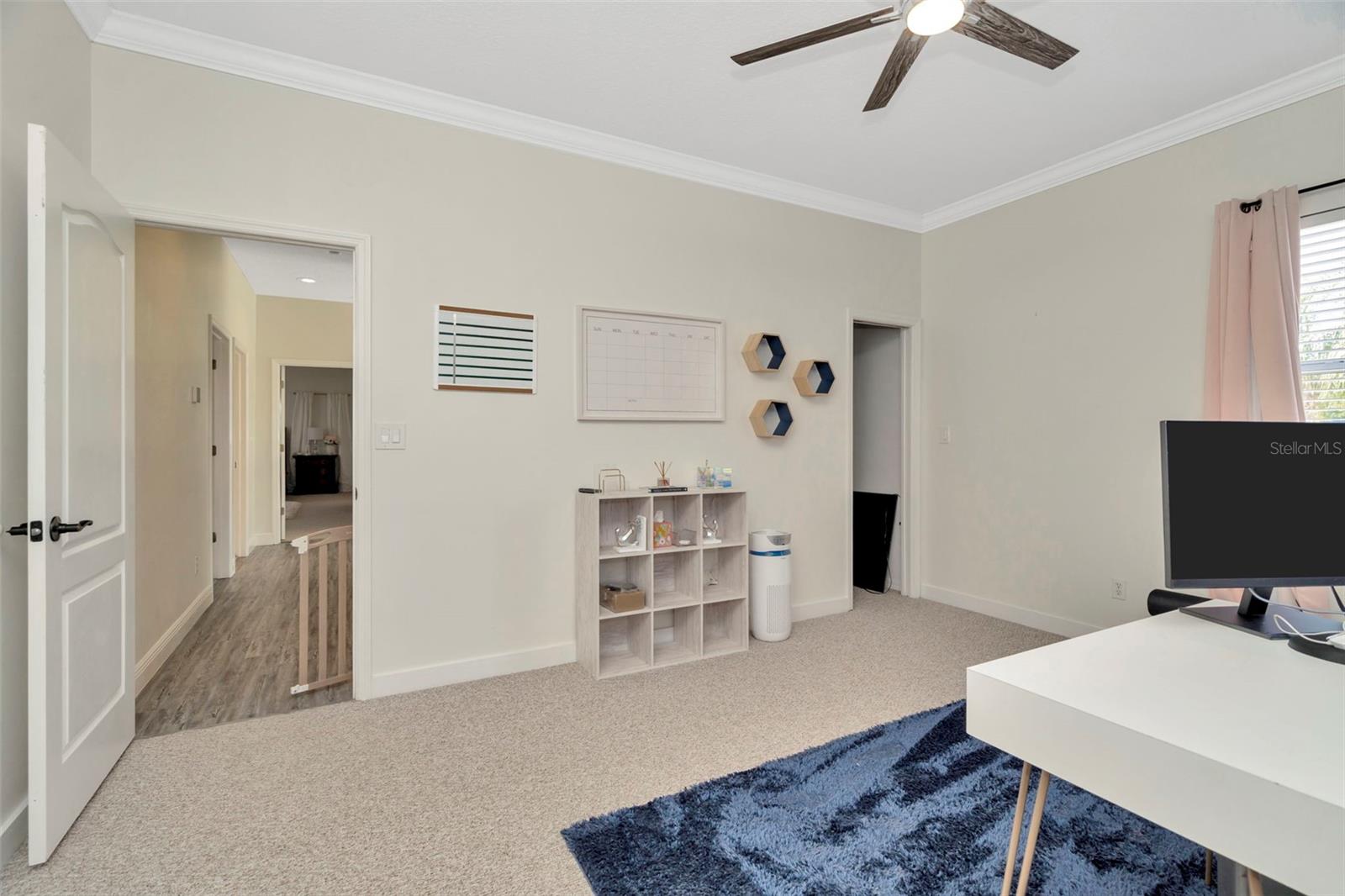 4612 NETHERWOOD DR, TAMPA, FL, 33624