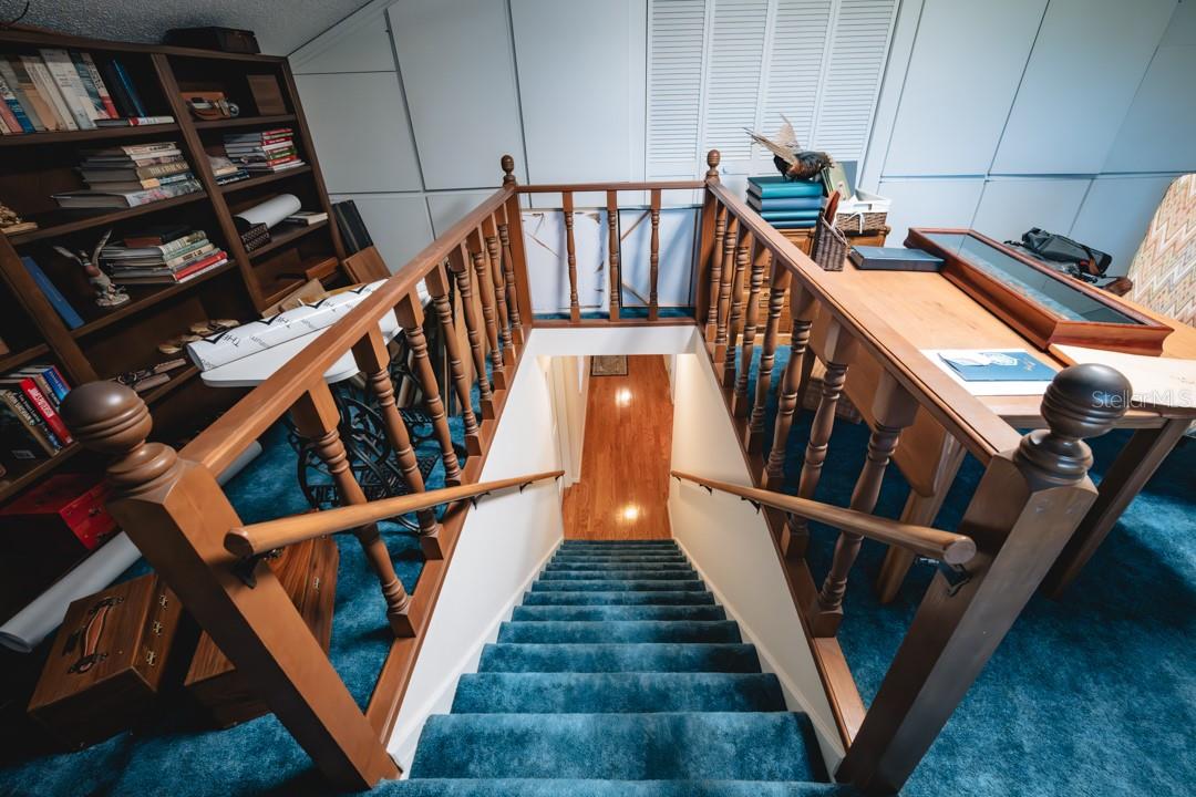 2780 E SAM ALLEN RD, PLANT CITY, FL, 33565