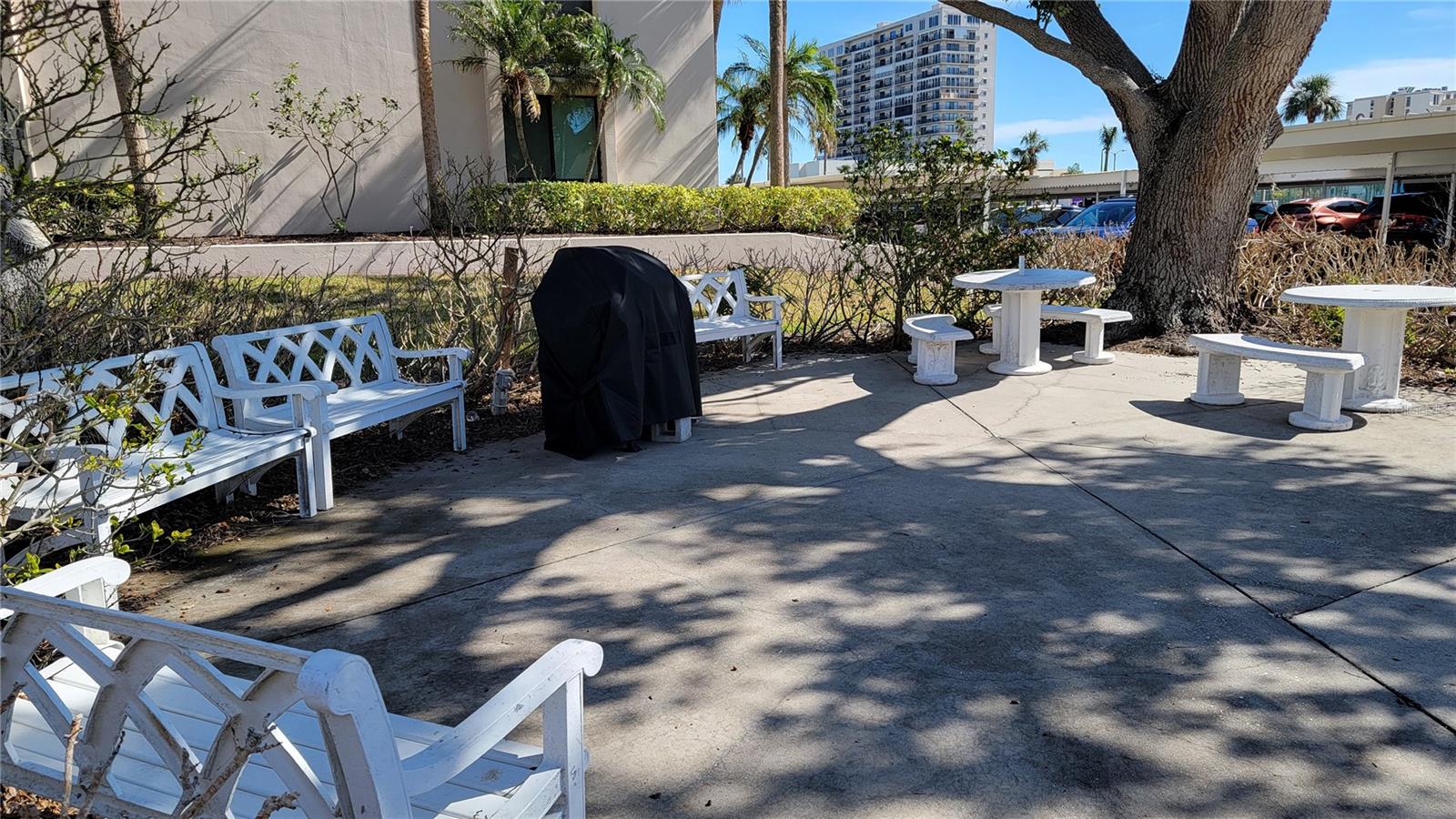 Commodore Bldg BBQ Area